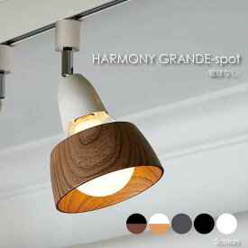 【電球なし】 ART WORK STUDIO HARMONY GRANDE-spot 1灯 スポットライト ダクトレール 天井照明 モダン 真鍮 おしゃれ インテリア ライト ランプ 100W LED AW-0537Z