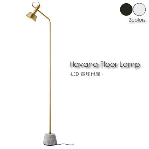 yzyLEDdtzARTWORK STUDIO Havana Floor Lamp tACg  AeB[N Ɩ k LEDΉ ubN zCg 嗝 ^J  _ RpNg 40W AW-0529E