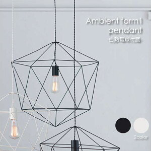 ARTWORK STUDIO Ambient form1 pendant(白熱電球付属) ペンダントライト 照明 北欧 LED対応 ブラック ホワイト おしゃれ アンティーク モダン 60W AW-0470V
