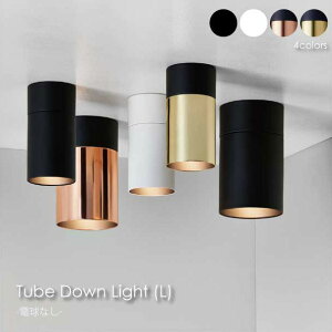 ydȂzARTWORK STUDIO Tube down light(L) 1 _ECg X|bgCg VƖ _ A~  CeA Cg v 60W LED AW-0525Z
