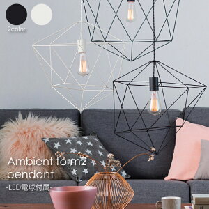 【LED電球付属】ARTWORK STUDIO Ambient form2 pendant ペンダントライト 照明 北欧 LED対応 ブラック ホワイト おしゃれ アンティーク モダン 60W AW-0471E