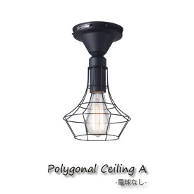 【電球なし】ART WORK STUDIO Polygonal ceiling A シーリングライト 小型 照明 北欧 LED対応 玄関 おしゃれ スチール レトロ アンティーク 60W AW-0475Z