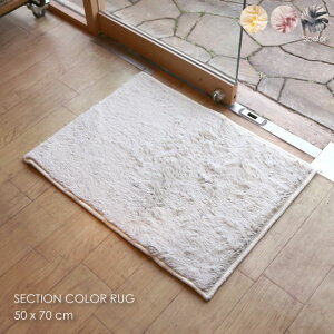 BRID SECTION COLOR RUG 50×70cm փ}bg   O tW k ~ CG[ sN O[ zCg  AeB[N _ G CeA i`  t@[ VM[ 001