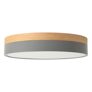 BRID Olika LED CEILING LIGHT Ver.2 V[OCg F ^ 邢 R Ebh ؖ I[N VƖ Ɩ ԐڏƖ q rO Q k  V Cg v 10 L