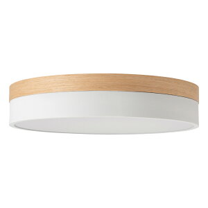 BRID Olika LED CEILING LIGHT Ver.2 V[OCg F ^ 邢 R Ebh ؖ I[N VƖ Ɩ ԐڏƖ q rO Q k  V Cg v 10 L