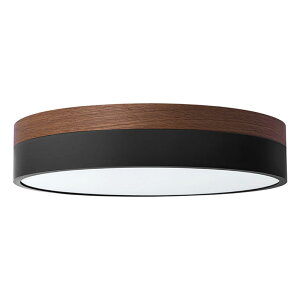 BRID Olika LED CEILING LIGHT Ver.2 V[OCg F ^ 邢 R Ebh ؖ I[N VƖ Ɩ ԐڏƖ q rO Q k  V Cg v 10 L