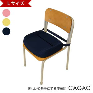 �yL�T�C�Y�zCAGAC ���z�c ���ԂƂ� �V�[�g�N�b�V���� �N�b�V���� �E�������� ������ �p�� �w�� �L�w ���� �m �q�� ���w�N ���w�� ���w�� ���Z�� ��w�� ��l �l�C�r�[ �C�G���[ �s���N �� ���F 