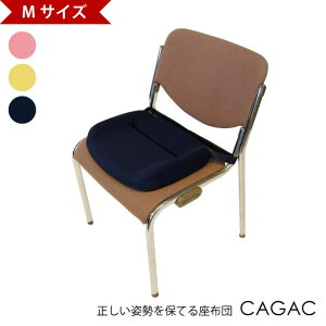 yMTCYzCAGAC zc ԂƂ V[gNbV NbV Ջ p w Lw  m CeA ֎q CX  `FA lCr[ CG[ sN  F 􂦂 Jo[