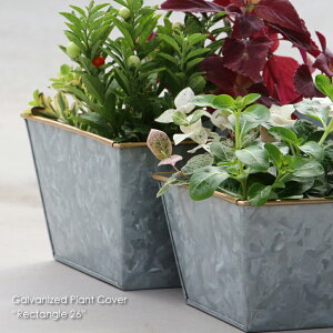 Galvanized Plant Cover gRectangle 26h Jo[  lp ` Jbv Aؔ    |bg a AeB[N Vo[ Y j v^[ S[hyHL_NEW_18z