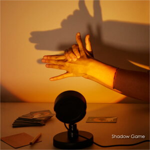 KIKKERLAND Shadow Game LbJ[h  m mߋ vWFN^[ ^ RpNg Q eG wK ׋ q j̎q ̎q Q[ J[hQ[ 蕨 v[g Mtg 