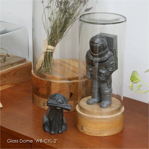 Glass Dome "WB-CYL-2" fBXvCP[X V[P[X Y fBXvC tBMA nhCh }VF I    W NX^ Kl w O ANZT[ KXP[X R
