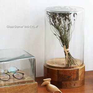 Glass Dome "WB-CYL-4" fBXvCP[X V[P[X Y fBXvC tBMA nhCh }VF I    W NX^ Kl w O ANZT[ KXP[X R