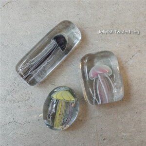 Jellyfish Twisted Leg NQ WF[tBbV IuWF ObY KX  _ k  CeA 킢   u  y[p[EFCg p[v  CG[ 