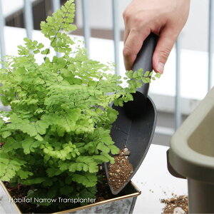 epoca Habitat Narrow Transplanter XRbv  |p ڐASe Aւ ^ vX`bN c @ _ ڐ K[fjO Vx  Lv AEghA K[fjOpi 킢