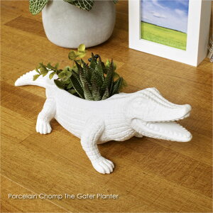 KIKKERLAND Porcelain Chomp The Gater Planter LbJ[h j v^[  Jbv Aؔ        |bg ~j AeB[N Y j k T{e 