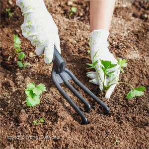 epoca Habitat 3 Prong Cultivator K[ftH[N nhtH[N OL N O{L O{ O O{ L vX`bN _ K[fjO  Lv AEghA K[fjOpi 킢