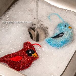 KIKKERLAND SONGBIRD SCRUB SPONGES H X|W H Lb` VN  Aj}  bh u[   G CeA ObY v[g Mtg X|WZbg 􂢕 킢 _炩