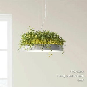 DI CLASSE LED Giorno ceiling pendant lamp ([t) y_gCg V[OCg F ^ VƖ Ɩ _CjO rO Cg v AeB[N _ k O[ i