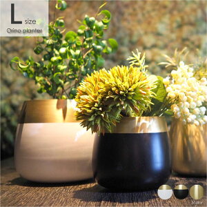 y݌ɌzDI CLASSE Orino planter L Im v^[ Jo[ 4  Jbv Aؔ      |bg a ~j AeB[N Y j k ubN zCg 