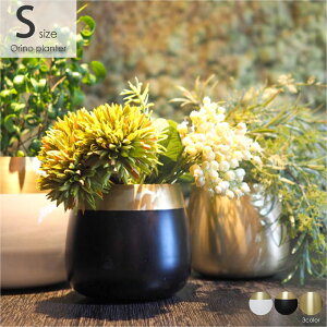 y݌ɌzDI CLASSE Orino planter S Im v^[ Jo[ 3  Jbv Aؔ      |bg a ~j AeB[N Y j k ubN zCg 