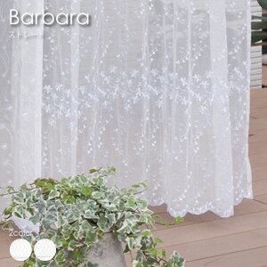 yXg[gzWAVE SALAD Barbara [XJ[e F J[ I[_[J[e J[e I[_[Ch  k 킢 _ C Be[W hJ XJbv 􂦂 S2F