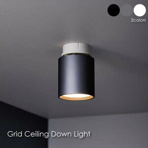 �y���|���V�[�����O��p�z ARTWORK STUDIO Grid-ceiling down light 1�� �X�|�b�g���C�g �_�N�g���[�� �V��Ɩ� ���_�� �A���~ ������� �C���e���A ���C�g �����v 100W LED AW-0552E
