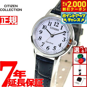 �y�ő�2000�~OFF�N�[�|���I���X���|�C���g�ő�54�{�I�{������I�z�V�`�Y�� �G�R�h���C�u �\�[���[ �r���v ���f�B�[�X EM0930-15A �V�`�Y���R���N�V���� �z���C�g×�u���b�N