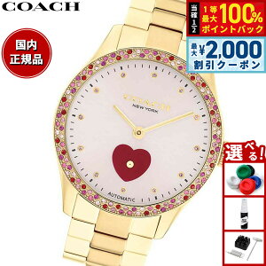 �y3/5�͓��X����W�C�x���g�I2000�~OFF�N�[�|�������I�ōő�10000pt�o�b�N�z�R�[�` COACH �r���v ���f�B�[�X �u���b�N�X BROOKS 38MM �������� 14504487�y2025 �V��z