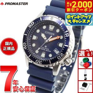 �y�ő�2000�~OFF�N�[�|���I���X���|�C���g�ő�51�{�I�{������I�z�V�`�Y�� �v���}�X�^�[ �}���� �G�R�h���C�u �_�C�o�[200m �r���v �����Y ���f�B�[�X EO2021-05L �_�C�o�[�Y�E�I�b�` �\�[���[ CIT