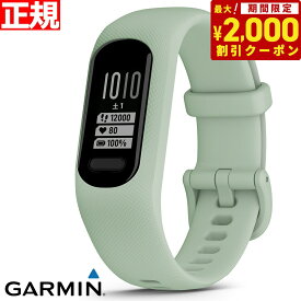 ガーミン GARMIN vivosmart 5 ヴィヴォスマート5 GPS スマートウォッチ ライフログ アクティビティトラッカー 腕時計 メンズ レディース Mint S/M 010-02645-62