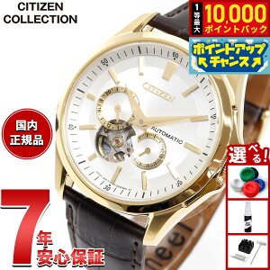 �y8/15����I���I�ōő�1���|�C���g�o�b�N�z�V�`�Y���R���N�V���� CITIZEN COLLECTION ���J�j�J�� �������� �@�B�� �r���v �����Y NP1013-02P �I�[�v���n�[�g
