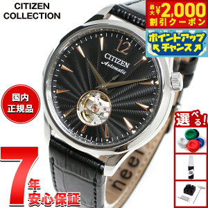 y2000~OFFN[|IX|Cgő54{I{IzV`YRNV CITIZEN COLLECTION JjJ  @B rv Y NH9131-14E I[vn[g