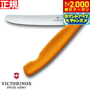 y2000~OFFN[|IX|Cgő54{I{IzrNgmbNX VICTORINOX g}g xW^u tH[fBOiCt ܂ݎ p[OiCt gn IW 11cm XCXN