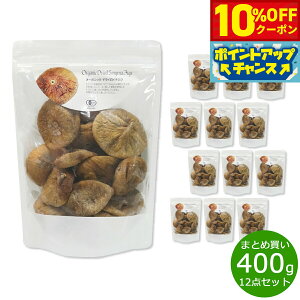 y10%OFFN[|IX|Cgő42{I111Izi`Lb` natural kitchen I[KjbNhCC`WN 400g×12܁yz