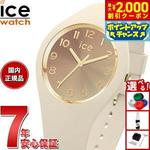 y2000~OFFN[|IX|Cgő52{I}\IzACXEHb` ICE-WATCH rv fB[X ACXTZbg2025 ICE sunset 2025 X[{ A[hJv`[m 024985y2025 V