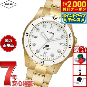 y2000~OFFN[|IX|Cgő52{I{IztHbV FOSSIL rv fB[X _Co[YEHb` BLUE DIVE Oj S[hg[ XeXX`[EHb` ES5350