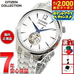 y2000~OFFN[|IX|Cgő52{I{IzV`YRNV CITIZEN COLLECTION JjJ  @B rv Y NH9131-73A I[vn[g