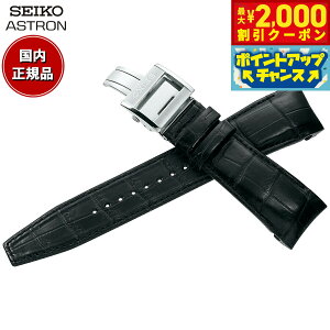 y2000~OFFN[|IX|Cgő52{I{IzZCR[ AXg SEIKO ASTRON rv v ւoh xg Y ubN NR_C 21mm WTCY R7X10AC