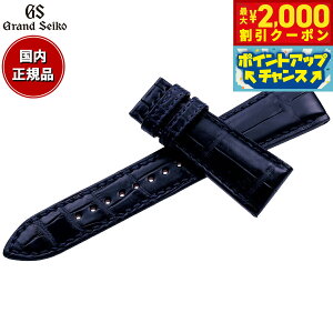 y2000~OFFN[|IX|Cgő52{I{IzOhZCR[ GRAND SEIKO rv ւoh xg Y lCr[ DXeb` NR_C 22mm RG01W22NY