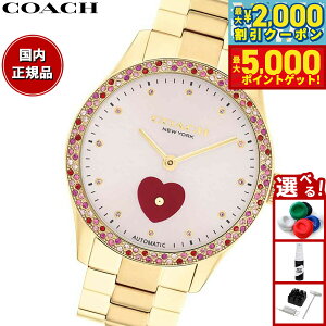 yő2000~OFFN[||Cg+5{zR[` COACH rv fB[X ubNX BROOKS 38MM  14504487y2025 Vz