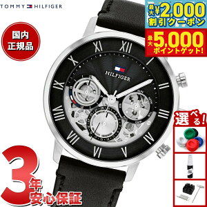 yő2000~OFFN[||Cg+5{zg~[qtBK[ TOMMY HILFIGER rv Y LEGEND 1710565