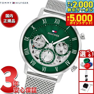 yő2000~OFFN[||Cg+5{zg~[qtBK[ TOMMY HILFIGER rv Y LEGEND 1710567