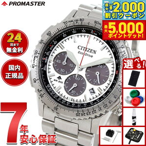 yő2000~OFFN[||Cg+5{zyIׂmxeB[tzV`Y v}X^[ XJC CITIZEN PROMASTER SKY GRhCu dgv rv Y CA4660-61A Vo[y2025 V