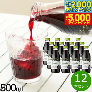 y10%OFFN[|IX|Cgő46{I1118IzI JVX20 500ml×12{Zbg JVX JVXW[X W[X ʕ ʎ t[c Xg[g AgVAj ʏ`20% Y 