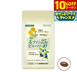 y10%OFFN[|IX|Cgő46{I1118Izn}̌NHi eC25rx[10 30yz Y Tvg ACPA ڂ̌N