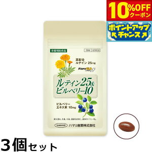 y10%OFFN[|IX|Cgő46{I1118Izn}̌NHi eC25rx[10 30×3Zbgyz Y Tvg ACPA ڂ̌N