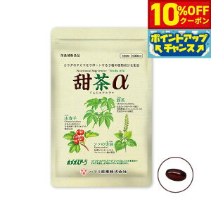 y10%OFFN[|IX|Cgő46{I1118Izn}̌NHi [ 120yz Y Tvg mJtFC V\̎ Rq