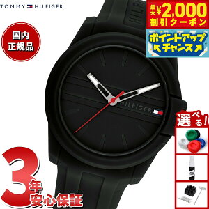 y2000~OFFN[|IX|Cgő55{I{Izg~[qtBK[ TOMMY HILFIGER rv Y AUSTIN 1710596