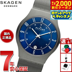 y2000~OFFN[|IX|Cgő55{I{IzXJ[Q SKAGEN rv Y SUNDBY TITANIUM`R[X`[bVEHb` 233XLTTN