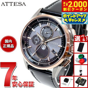 y2000~OFFN[|IX|Cgő55{I{IzyIׂmxeB[tzV`Y AebT CITIZEN ATTESA GRhCu dgv rv _CNgtCg [tFCY BY1